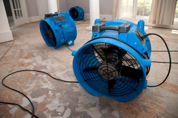 Best Local water damage restoration  in Graysville, TN